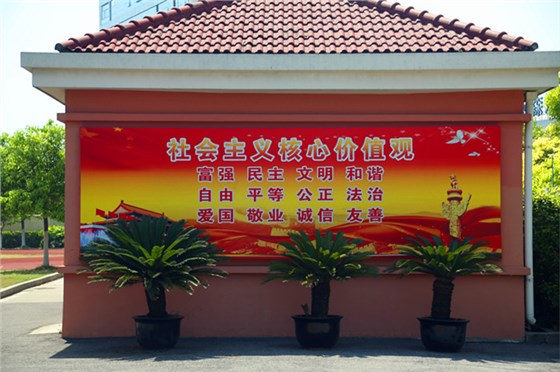 校园文化建设 校园文化建设