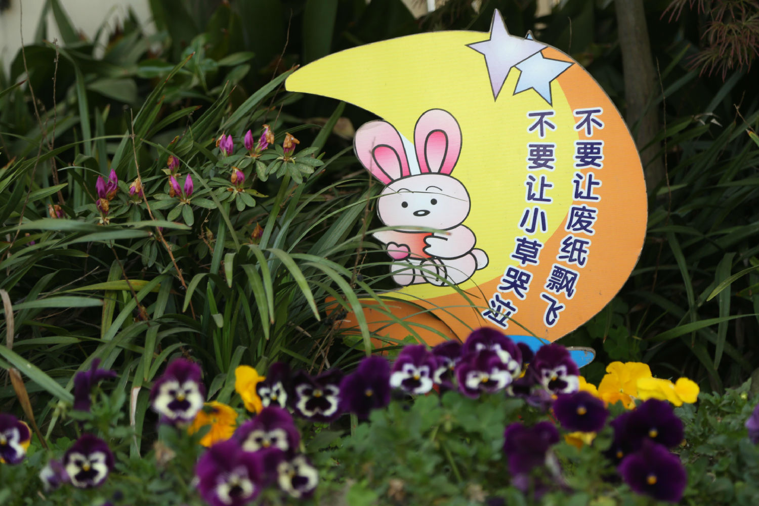 GN3A5538.jpg GN3A5538.jpg